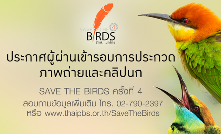 รายชื่อผู้ผ่านการคัดเลือกประกวดภาพถ่ายและคลิปนก SAVE THE BIRDS 4